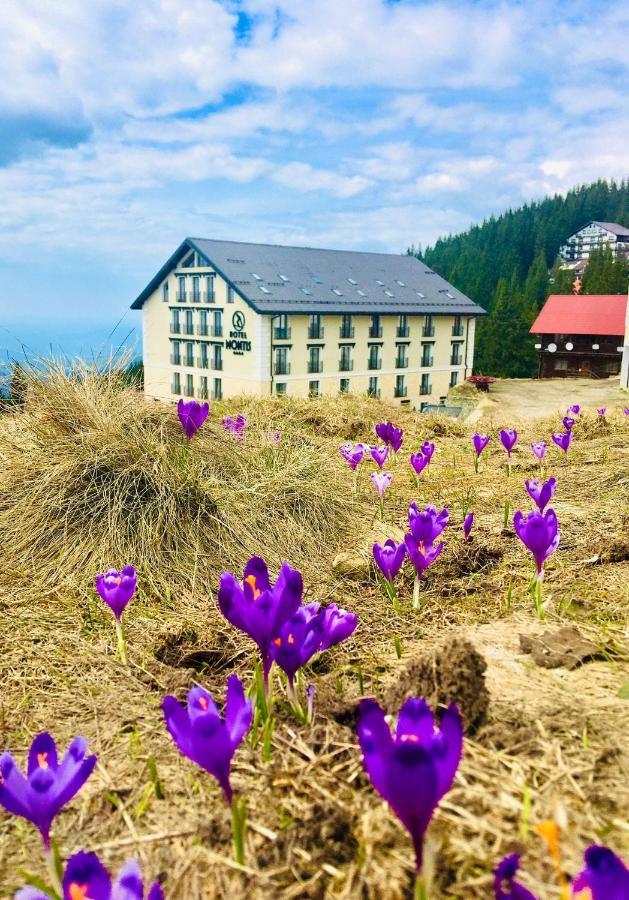 Montis Hotel & Spa Muntele Mic Bagian luar foto