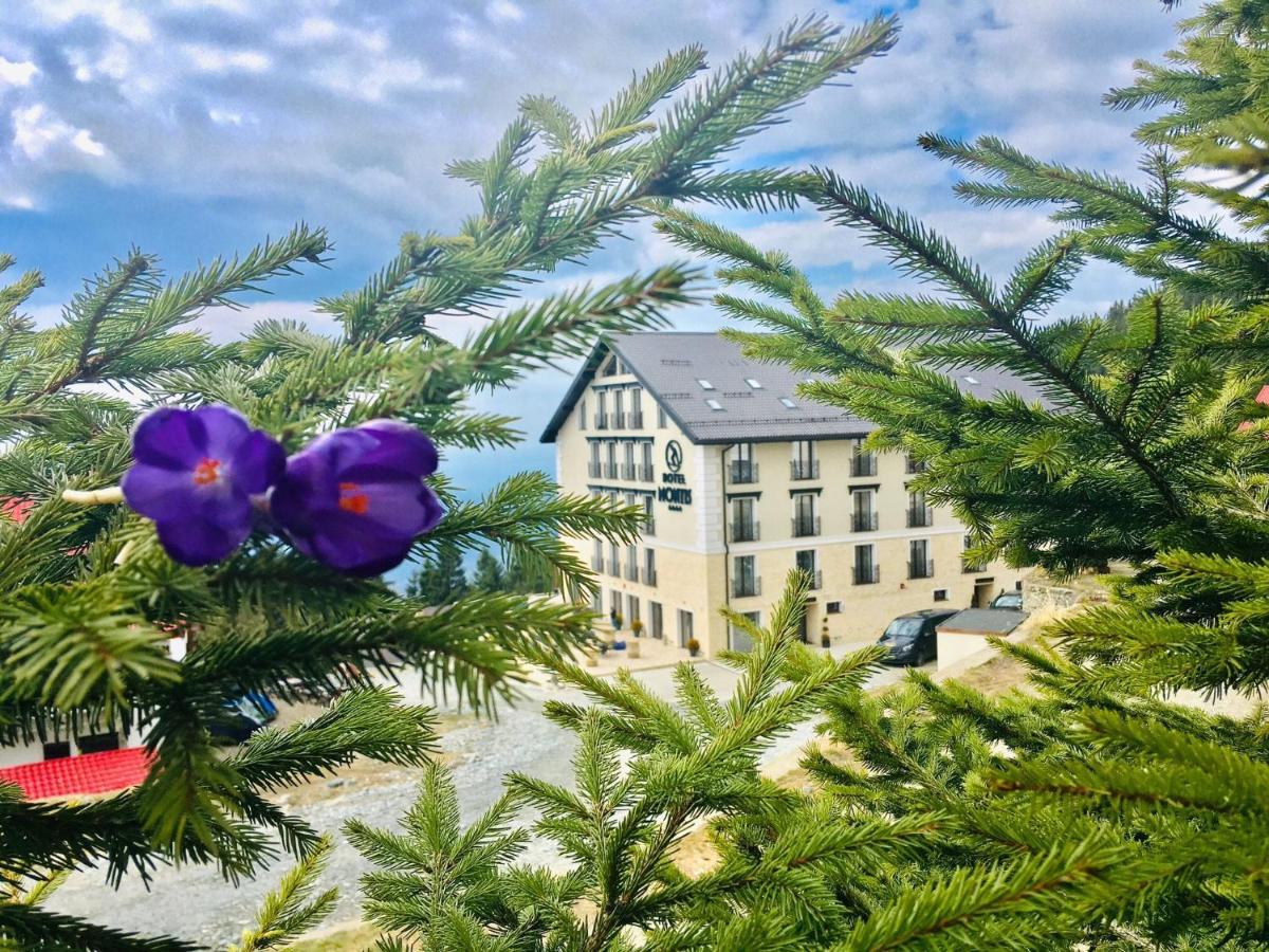 Montis Hotel & Spa Muntele Mic Bagian luar foto